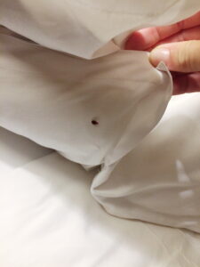 Détecter les punaises de lit à l'hôtel